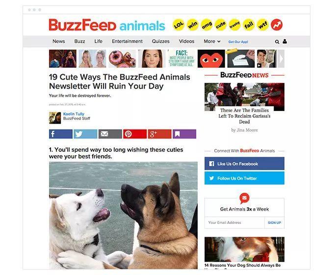 Как собрать миллион подписок на рассылку за год: советы от BuzzFeed