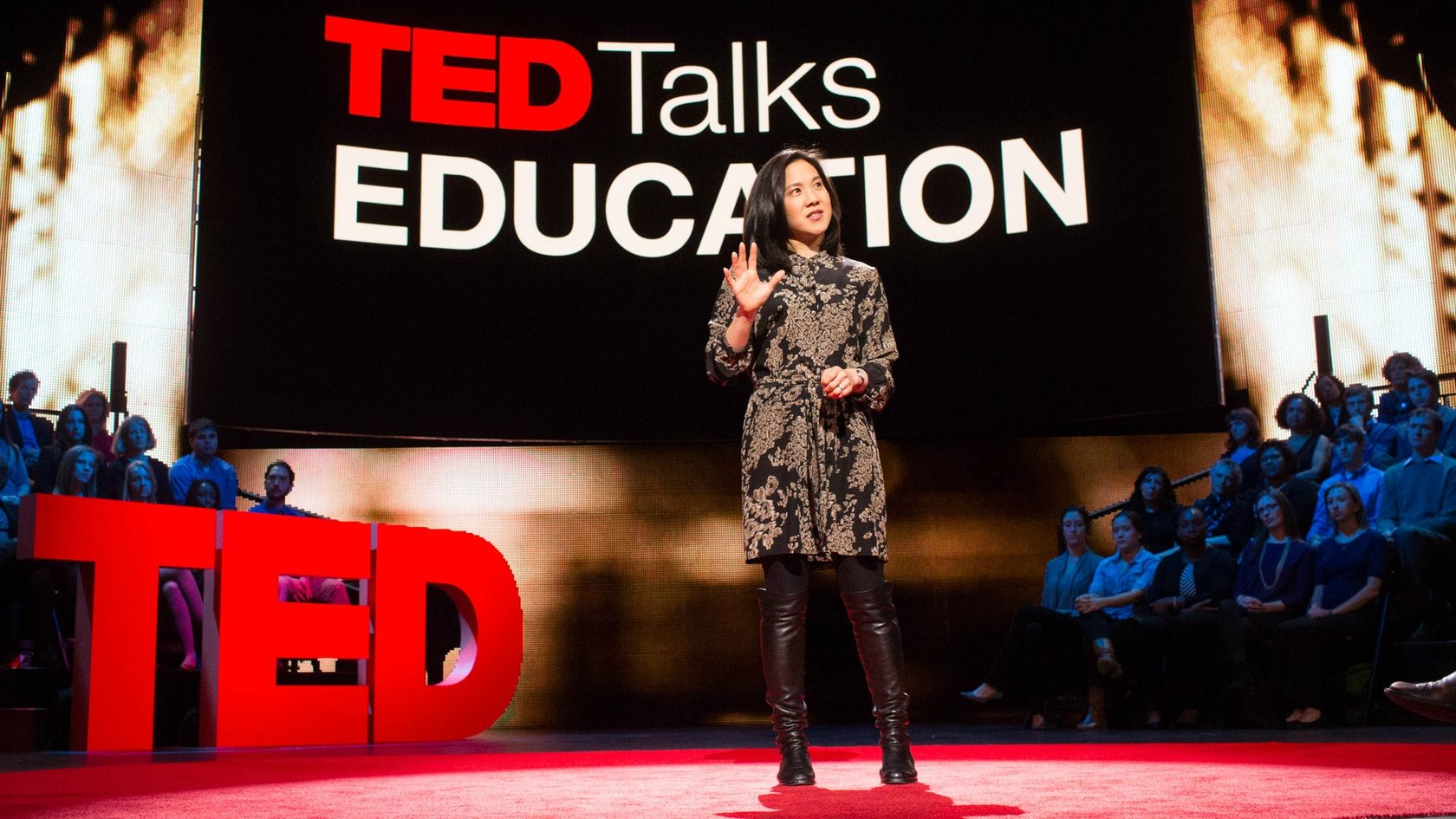 Двенадцать веселых докладов TED Talks на различные темы
