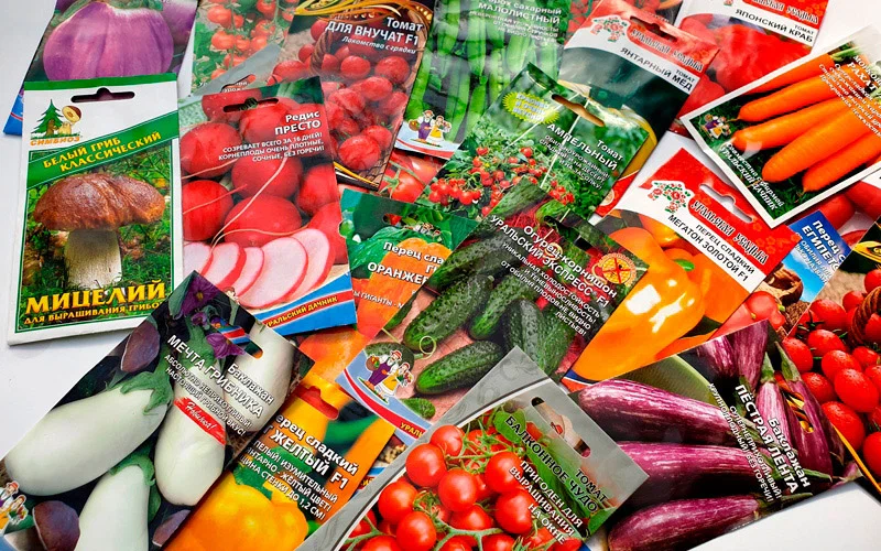 Как успешно запустить интернет-магазины по продаже семян и саженцев в Болгарии, Чехии и Словакии — кейс Gradinamax